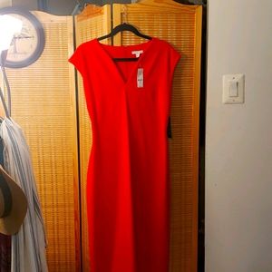 New York & Co Red Sheath Dress sz L